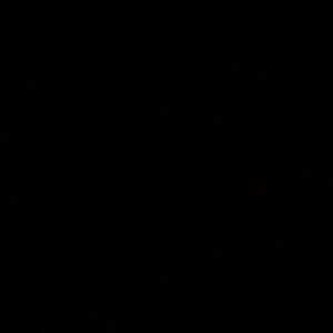 Meet your Posher, Owen